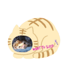 かわいいおTang Tang（個別スタンプ：6）