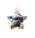 かわいいおTang Tang（個別スタンプ：12）