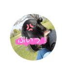 HAZ stamps（個別スタンプ：2）