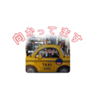HAZ stamps（個別スタンプ：4）