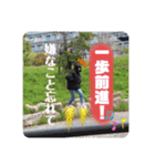 HAZ stamps（個別スタンプ：7）