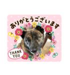 パートナーズハウス ゆあさ（個別スタンプ：5）