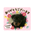 パートナーズハウス ゆあさ（個別スタンプ：6）