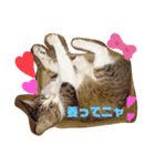 らんちゃんとまるくん（個別スタンプ：7）