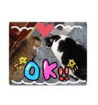 らんちゃんとまるくん（個別スタンプ：10）