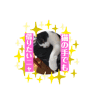 らんちゃんとまるくん（個別スタンプ：12）