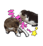 らんちゃんとまるくん（個別スタンプ：13）