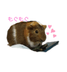 ʕ ꈍᴥꈍʔ♡④♡（個別スタンプ：4）