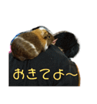 ʕ ꈍᴥꈍʔ♡④♡（個別スタンプ：26）