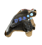 猫のもずくの1日（個別スタンプ：1）