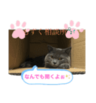 猫のもずくの1日（個別スタンプ：8）
