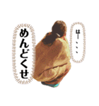 仲良い5人の日常スタンプ（個別スタンプ：1）