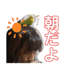 仲良い5人の日常スタンプ（個別スタンプ：11）