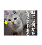 仲良い5人の日常スタンプ（個別スタンプ：14）