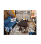 仲良い5人の日常スタンプ（個別スタンプ：23）
