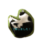 cocomocaごきげんスタンプ（個別スタンプ：7）