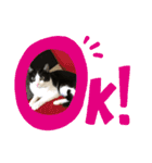 cocomocaごきげんスタンプ（個別スタンプ：12）