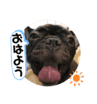 可愛いどろろ（個別スタンプ：1）