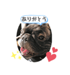 可愛いどろろ（個別スタンプ：3）