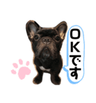 可愛いどろろ（個別スタンプ：6）