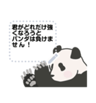 熊猫パンダ メッセージスタンプ（個別スタンプ：16）