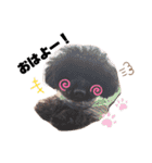 3ワンズ（個別スタンプ：6）
