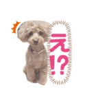 3ワンズ（個別スタンプ：7）