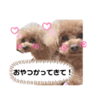 3ワンズ（個別スタンプ：9）