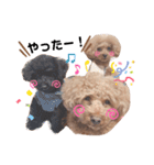 3ワンズ（個別スタンプ：12）