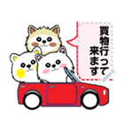 白い犬のメッセージスタンプ（個別スタンプ：24）