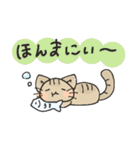 ほうじ茶ねこ 9（個別スタンプ：24）