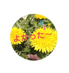 景色のすたんぷ（個別スタンプ：2）