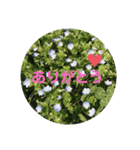 景色のすたんぷ（個別スタンプ：4）