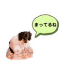 ぴのぴっぴスタンプ（個別スタンプ：6）
