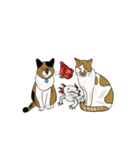MOFUPAQKIN Cats＆Axolotl＆Goldfish（個別スタンプ：2）