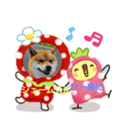 柴犬ジェームスjr2（個別スタンプ：4）