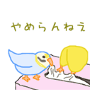 インコらしい（個別スタンプ：13）