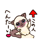 CAT.C 毒舌にゃんこ 2 あざと可愛く（個別スタンプ：12）