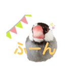 桜文鳥のつぶやき（個別スタンプ：4）