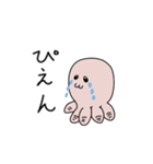 たこまろくん（個別スタンプ：13）