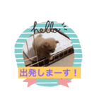 ポメプー♡ひめちゃん（個別スタンプ：4）