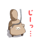 たぬきのたぬぬ（くノ一はじめました！）（個別スタンプ：7）