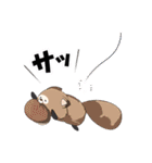 たぬきのたぬぬ（くノ一はじめました！）（個別スタンプ：15）