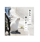 ハッピ-ライフ（個別スタンプ：1）