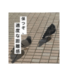 ハッピ-ライフ（個別スタンプ：14）