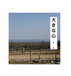 ハッピ-ライフ（個別スタンプ：15）