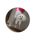モコちゃんスタンプス（個別スタンプ：12）