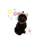オカメインコ＆チワプー（個別スタンプ：12）