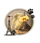 オカメインコ＆チワプー（個別スタンプ：15）