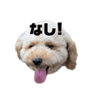 みんなのポポ（個別スタンプ：2）